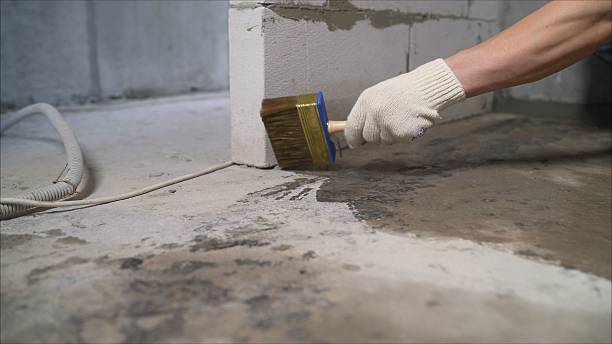 Top rated local Basement Waterproofing specialists in Hamburg, PA